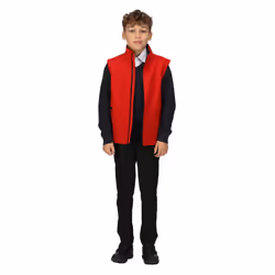 Regatta Childrens/Kids Ablaze Softshell Reflective Gilet - 11-12 Years, Classic Red/Black