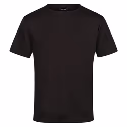 Regatta Mens Pro Reflective Moisture Wicking T-Shirt - XXL, Black