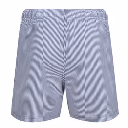 Regatta Mens Loras Stripe Swim Shorts - S, Dark Denim