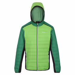 Regatta Mens Trutton II Baffled Padded Jacket - M, Jasmine Green/Field Green