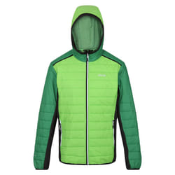 Regatta Mens Trutton II Baffled Padded Jacket - M, Jasmine Green/Field Green