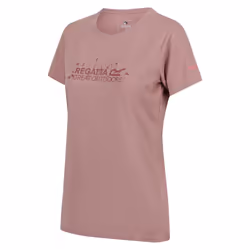 Regatta Womens/Ladies Fingal VII Logo T-Shirt - 8 UK, Dusky Rose