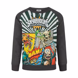 Skylanders Boys Panel Sweatshirt - 5-6 Years, Grey