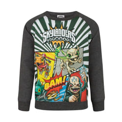 Skylanders Boys Panel Sweatshirt - 5-6 Years, Grey