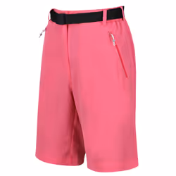 Regatta Womens/Ladies Xert Stretch Shorts - 44R, Fruit Dove
