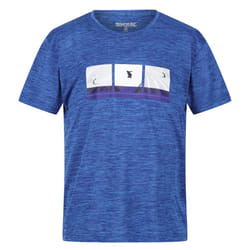 Regatta Childrens/Kids Findley Graphic Print Marl T-Shirt - 3-4 Years, Strong Blue