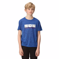 Regatta Childrens/Kids Findley Graphic Print Marl T-Shirt - 3-4 Years, Strong Blue