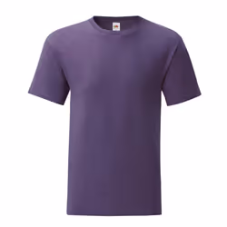 Fruit of the Loom Mens Iconic 150 T-Shirt - L, Purple Heather