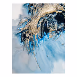 Petra Meikle De Vlas Earthly Motions Canvas Print - 80cm x 60cm, Blue/Gold