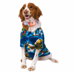 Rubies Luau/Beach Party Dog Costume