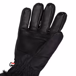 Trespass Womens/Ladies Dirin Leather Ski Gloves - S, Black