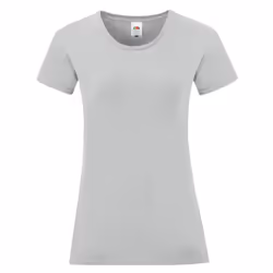 Fruit of the Loom Womens/Ladies Iconic T-Shirt - XL, Zinc