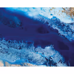 Petra Meikle De Vlas Out Of The Blue Canvas Print - 40cm x 50mm, Blue/White