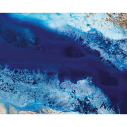 Petra Meikle De Vlas Out Of The Blue Canvas Print - 40cm x 50mm, Blue/White