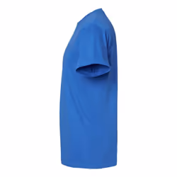 Gildan Unisex Adult Softstyle Midweight T-Shirt - S, Royal Blue
