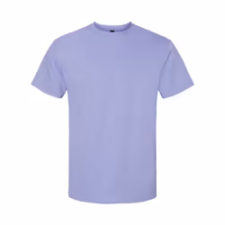 Gildan Unisex Adult Softstyle Midweight T-Shirt - S, Violet
