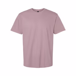 Gildan Unisex Adult Softstyle Midweight T-Shirt - S, Paragon