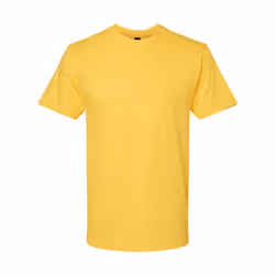 Gildan Unisex Adult Softstyle Midweight T-Shirt - S, Daisy