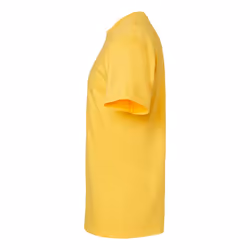 Gildan Unisex Adult Softstyle Midweight T-Shirt - S, Daisy