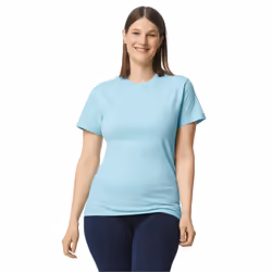 Gildan Hammer Unisex Adult Cotton Classic T-Shirt - L, Chambray