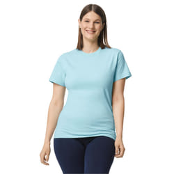 Gildan Hammer Unisex Adult Cotton Classic T-Shirt - L, Chambray