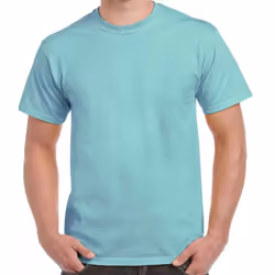 Gildan Hammer Unisex Adult Cotton Classic T-Shirt - XXL, Chalky Mint