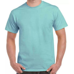 Gildan Hammer Unisex Adult Cotton Classic T-Shirt - S, Chalky Mint