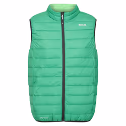 Regatta Mens Marizion Quilted Gilet - S, Field Green/Jasmine Green