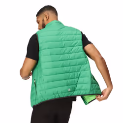 Regatta Mens Marizion Quilted Gilet - S, Field Green/Jasmine Green