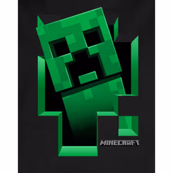 Minecraft Boys Creeper Inside Hoodie - 7-8 Years, Black/Green