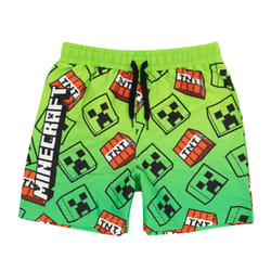 Minecraft Boys Creeper Swim Shorts - 13-14 Years, Green/Black