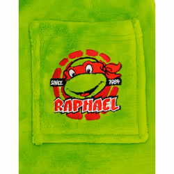 Teenage Mutant Ninja Turtles Boys Raphael Dressing Gown - 9-10 Years, Green