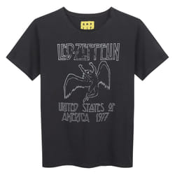 Amplified Childrens/Kids USA 1977 Led Zeppelin T-Shirt - 11-12 Years, Charcoal
