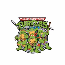 Teenage Mutant Ninja Turtles Group Shot Fridge Magnet