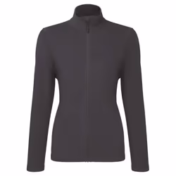 Premier Womens/Ladies Recyclight Full Zip Fleece Jacket - L, Dark Grey