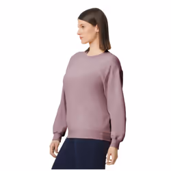 Gildan Mens Softstyle Midweight Sweatshirt - S, Paragon