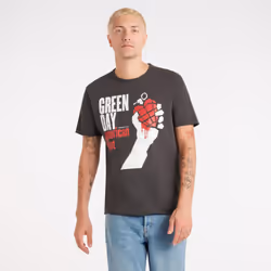 Amplified Unisex Adult American Idiot Green Day T-Shirt - S, Charcoal