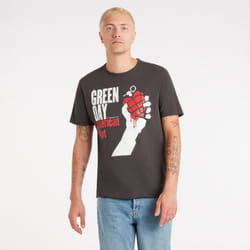 Amplified Unisex Adult American Idiot Green Day T-Shirt - S, Charcoal