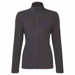 Premier Womens/Ladies Recyclight Full Zip Fleece Jacket - XXL, Dark Grey