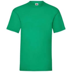 Fruit of the Loom Mens Valueweight T-Shirt - 3XL, Kelly Green