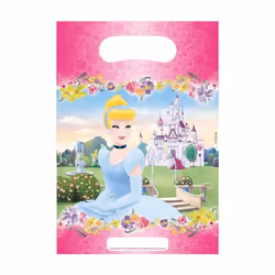 Disney Princess Journey Party Bags (Pack of 6)