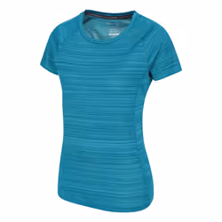 Mountain Warehouse Womens/Ladies Endurance Striped T-Shirt - 6 UK, Teal