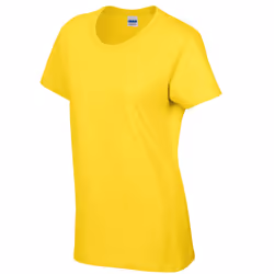 Gildan Womens/Ladies Heavy Cotton Heavy Blend T-Shirt - S, Daisy