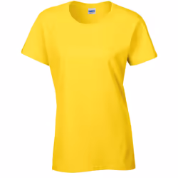 Gildan Womens/Ladies Heavy Cotton Heavy Blend T-Shirt - XXL, Daisy