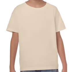 Gildan Childrens/Kids Plain Cotton Heavy T-Shirt - 12-13 Years, Sand