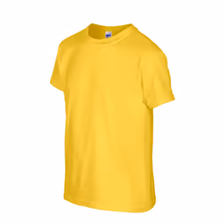 Gildan Childrens/Kids Plain Cotton Heavy T-Shirt - 3-4 Years, Daisy