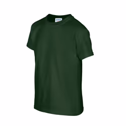 Gildan Childrens/Kids Plain Cotton Heavy T-Shirt - 12-13 Years, Forest