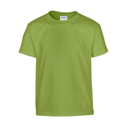 Gildan Childrens/Kids Plain Cotton Heavy T-Shirt - 12-13 Years, Kiwi
