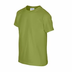 Gildan Childrens/Kids Plain Cotton Heavy T-Shirt - 12-13 Years, Kiwi