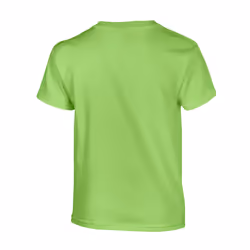 Gildan Childrens/Kids Plain Cotton Heavy T-Shirt - 12-13 Years, Lime